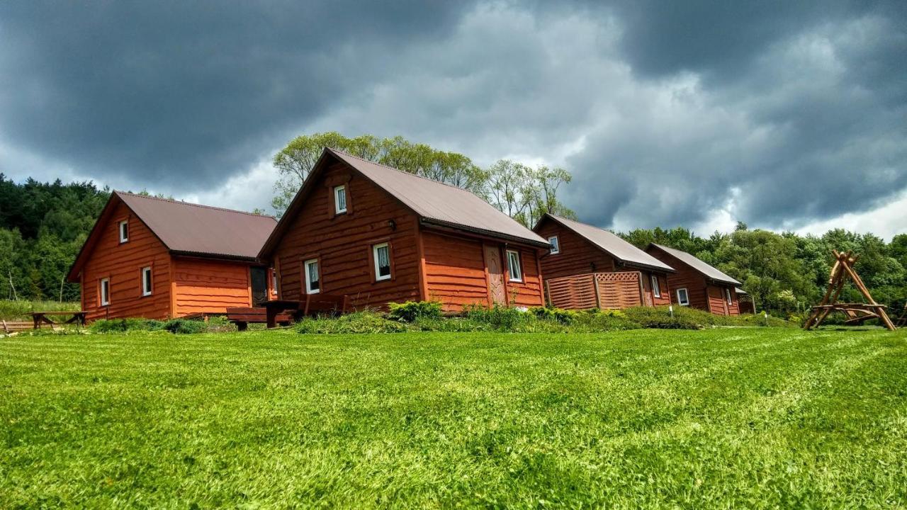 Villa U Zrodel Strwiaza Ustrzyki Dolne Exterior foto