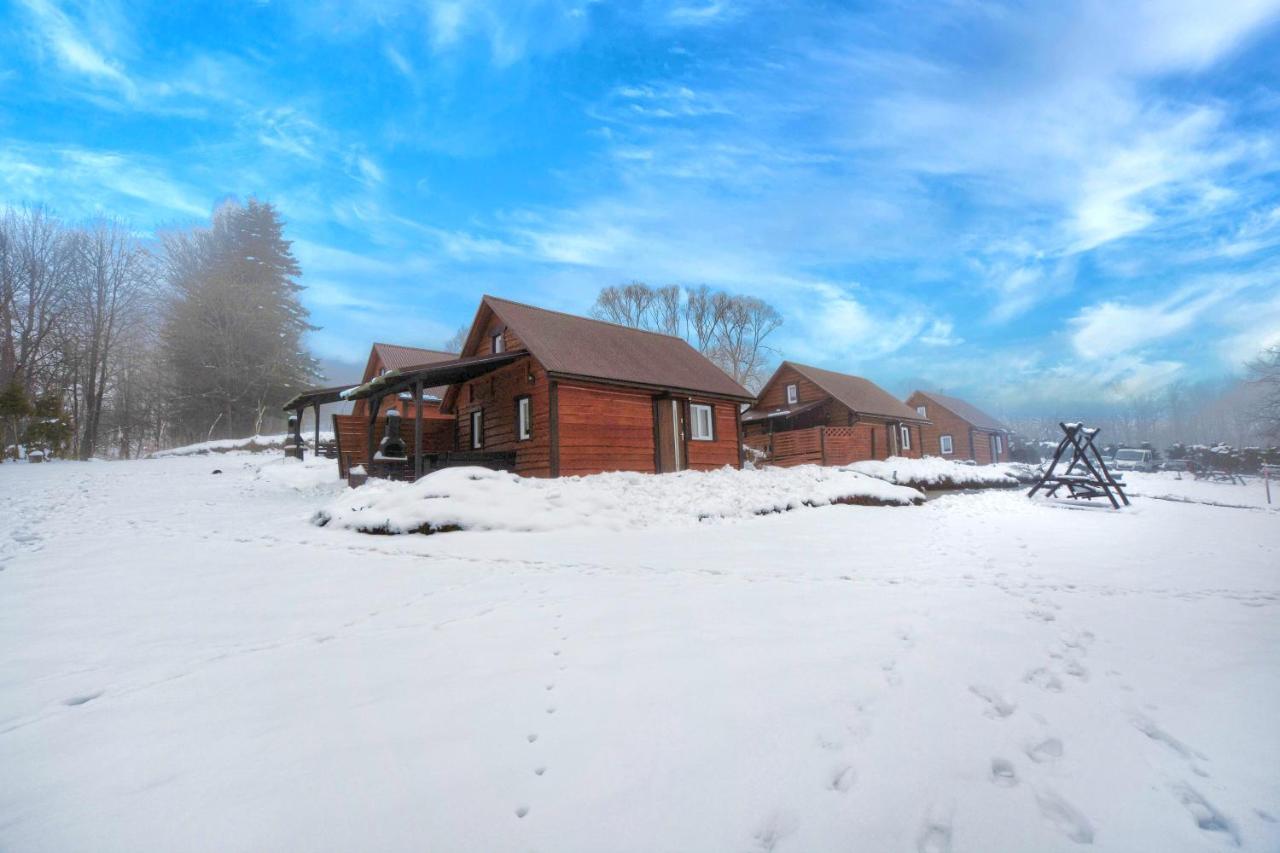 Villa U Zrodel Strwiaza Ustrzyki Dolne Exterior foto